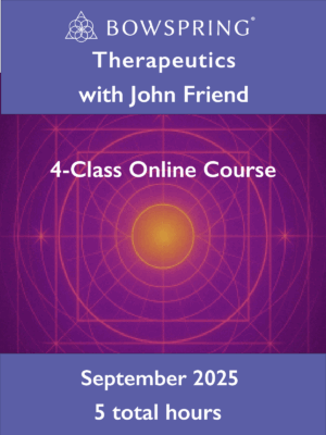Therapeutics Course with John Friend - 4 online classes - Sept 2025 - 5 total hours