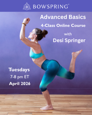 Advanced Basics with Desi Springer -- Tuesdays -- April 2026 - 4-week online course