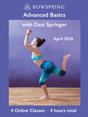 Advanced Basics with Desi Springer