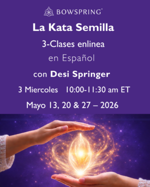 Seed Kata Online Course - in Spanish with Desi Springer -- Wednesday mornings - May 13, 20, 27 - 2026