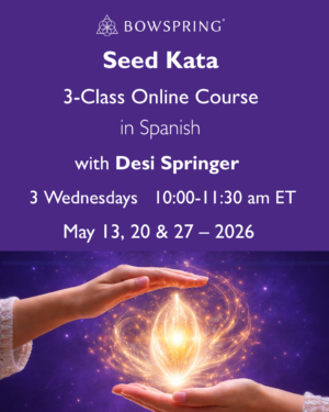Seed Kata Online Course - in Spanish with Desi Springer -- Wednesday mornings - May 13, 20, 27 - 2026
