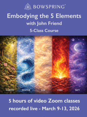 Embodying the 5 Elements with John Friend - March 2026