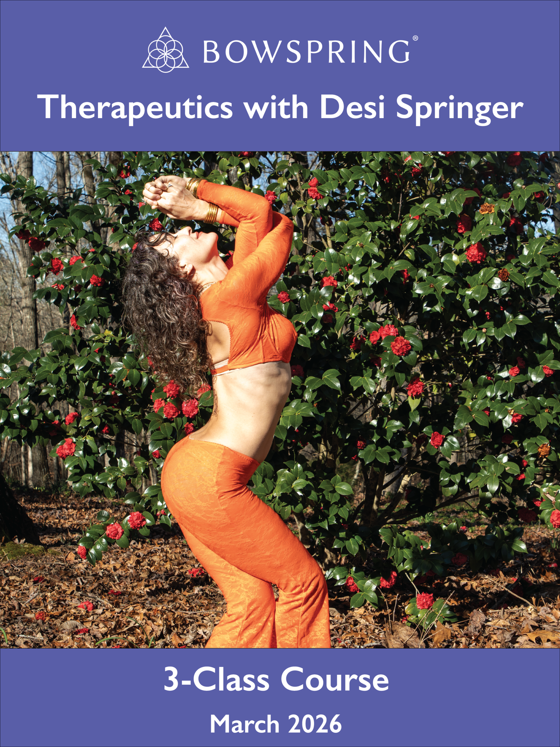 Therapeutics with Desi Springer – 3-class course